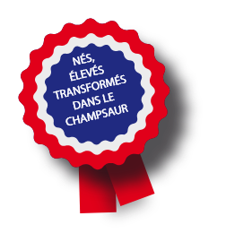 NÉS, ÉLEVÉS TRANSFORMÉS DANS LE CHAMPSAUR